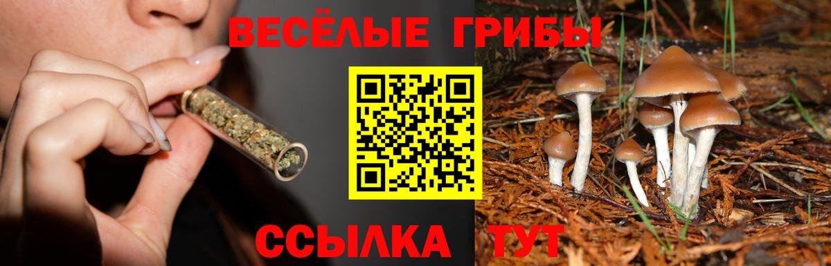 Кувандык  закладки  Вход с VPN  Галлюциногенные грибы мицелий 
